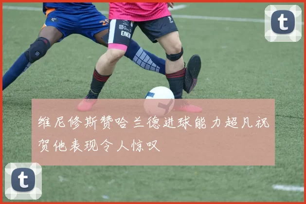 维尼修斯赞哈兰德进球能力超凡祝贺他表现令人惊叹
